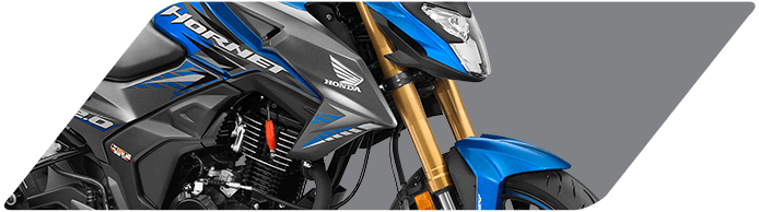 Planet honda - Golden_Upside_Down_Front_fork